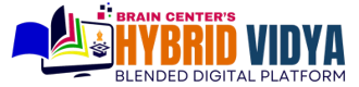 Brain Center's Hybrid Vidya
